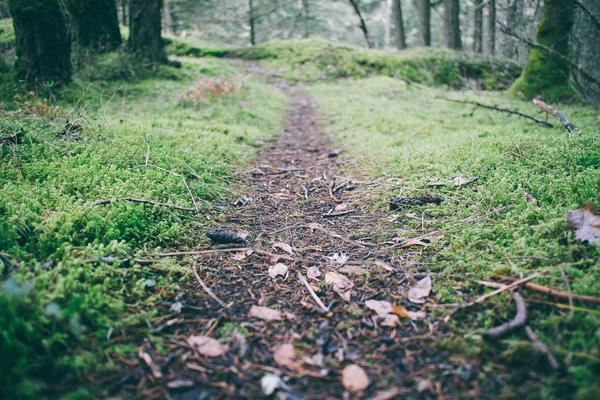 足球战术革命